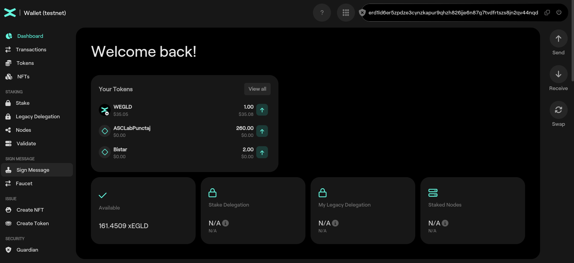 Testnet Wallet